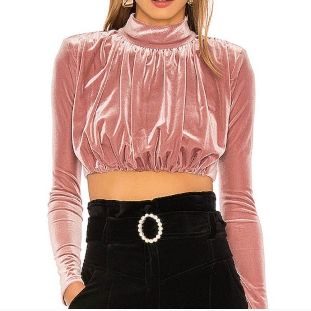 NBD clara long sleeve velvet pink top size S
